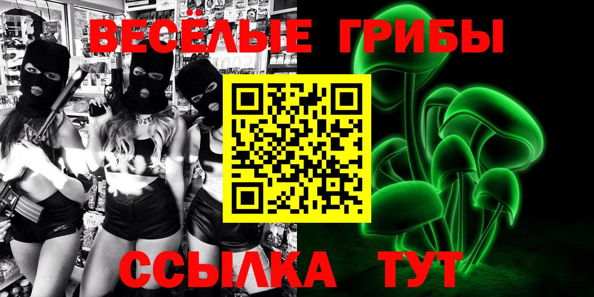 Псилоцибиновые грибы GOLDEN TEACHER  закладка  Вход с VPN  Мценск  Галлюциногенные грибы Cubensis 